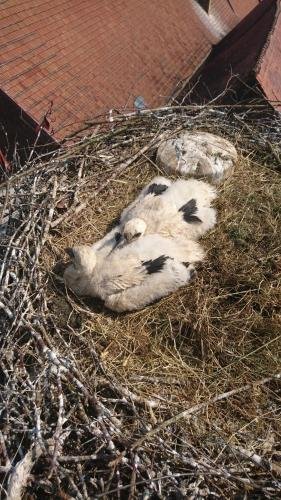 pension landhaus fischer