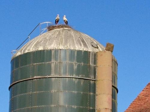 pension landhaus fischer