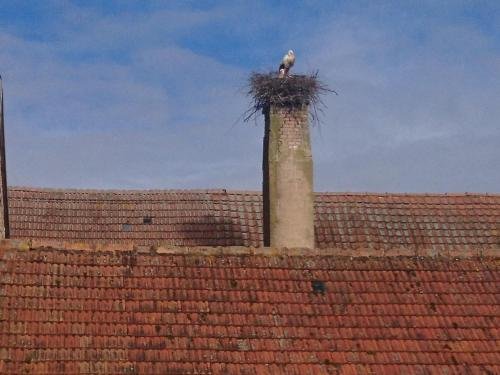 pension landhaus fischer