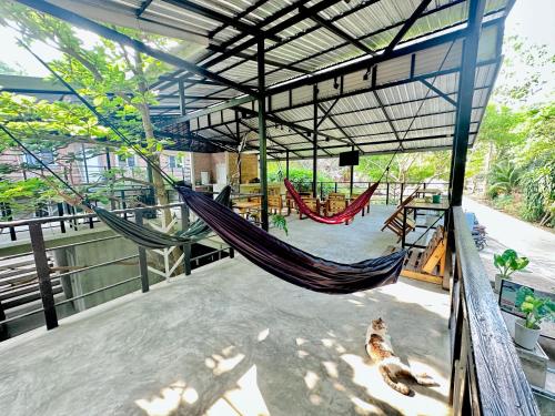 koh tao