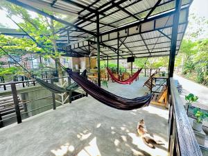 koh tao