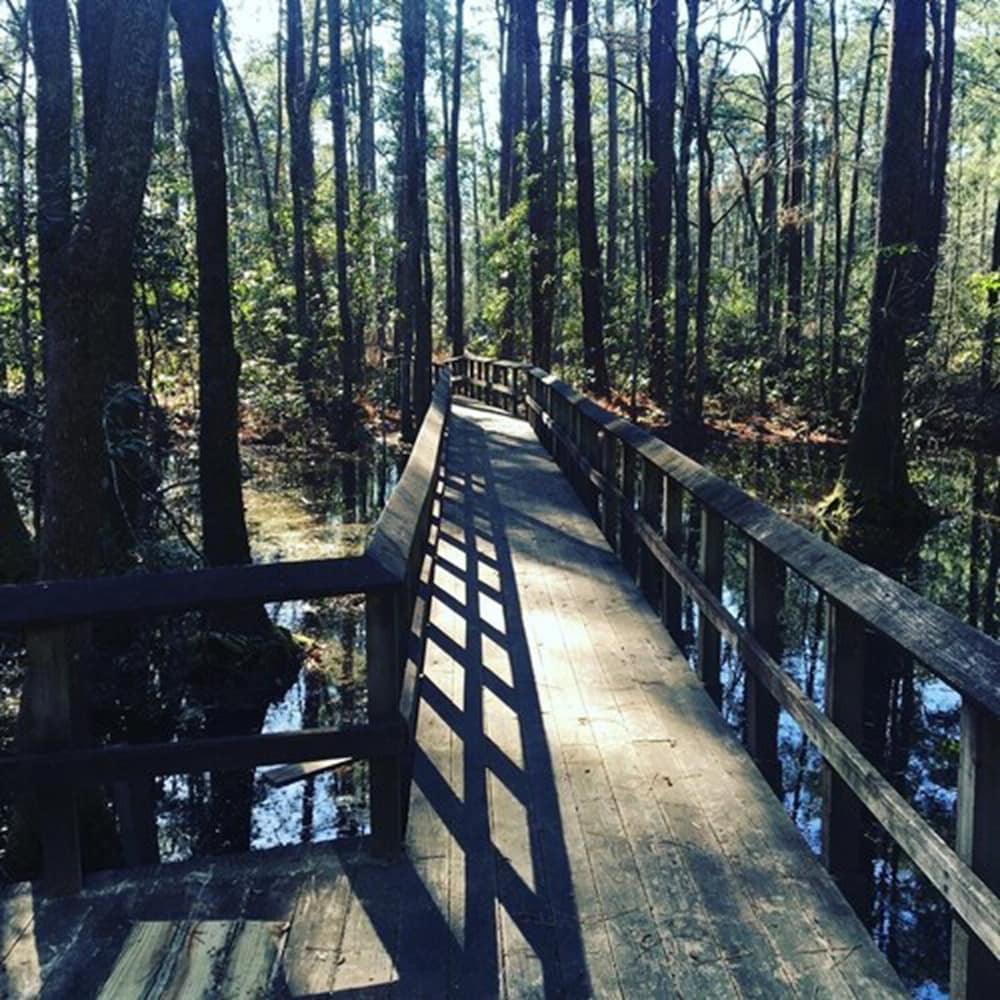 Hilton Garden Inn Summerville,Dorchester County>>Charleston,3 star