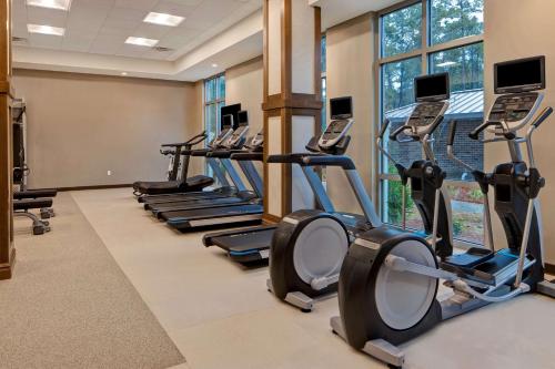 hilton garden inn summerville