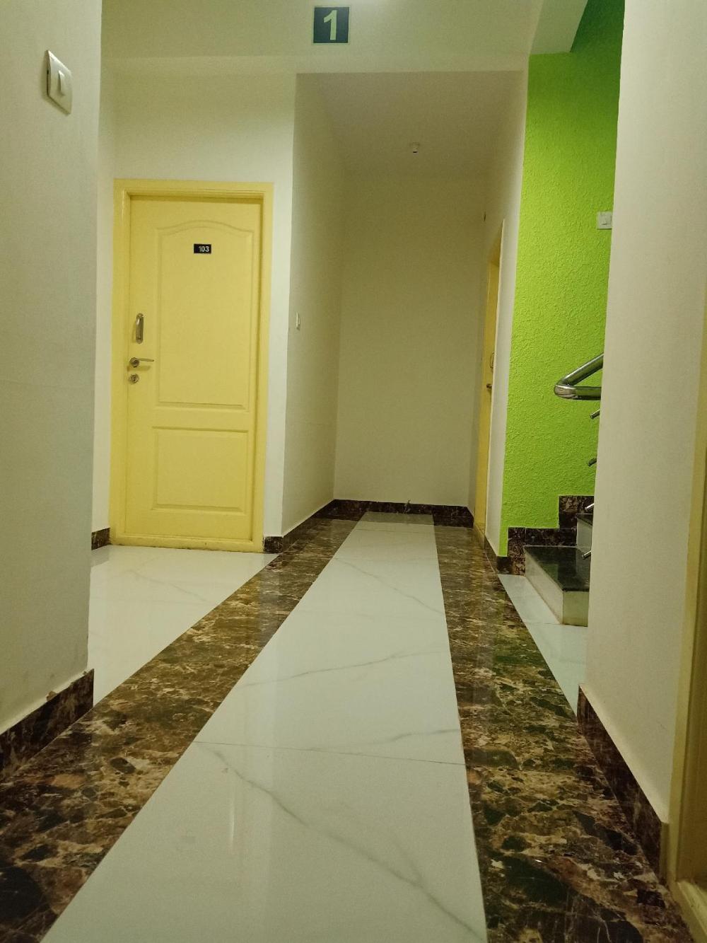 sports icon suites