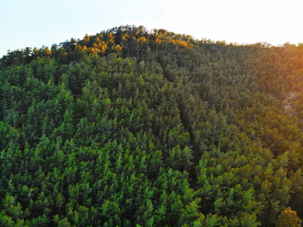 bucak apart hotel gocek and beach