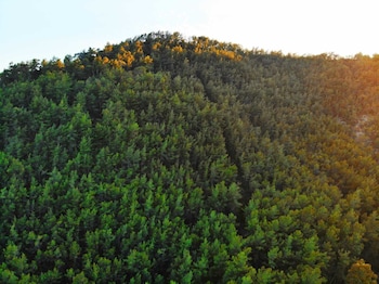 bucak apart hotel gocek and beach