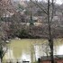 polonezkoy country club