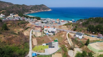 samcheok
