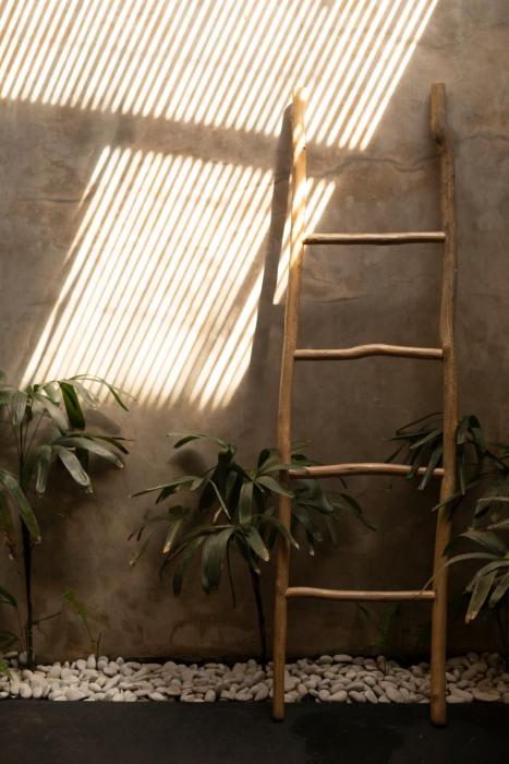 the room padang padang