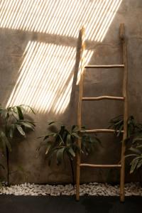 the room padang padang