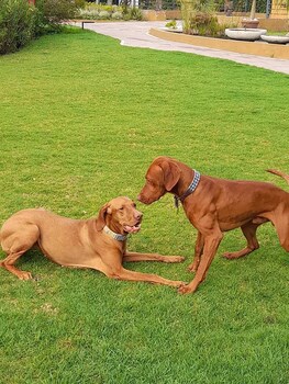 santo refugio heritage hotel