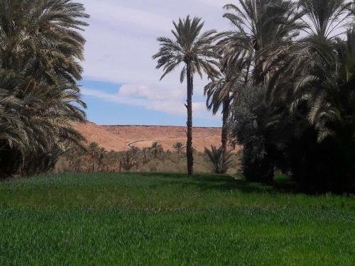 maison dhote ighrem