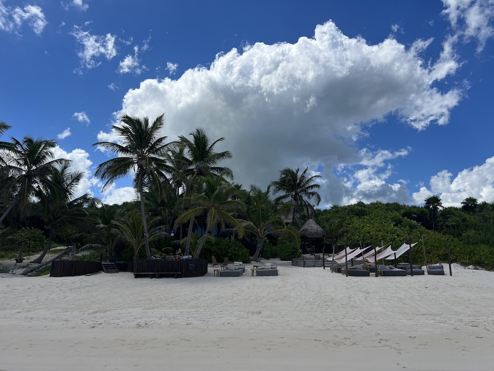 libelula tulum beachfront hotel