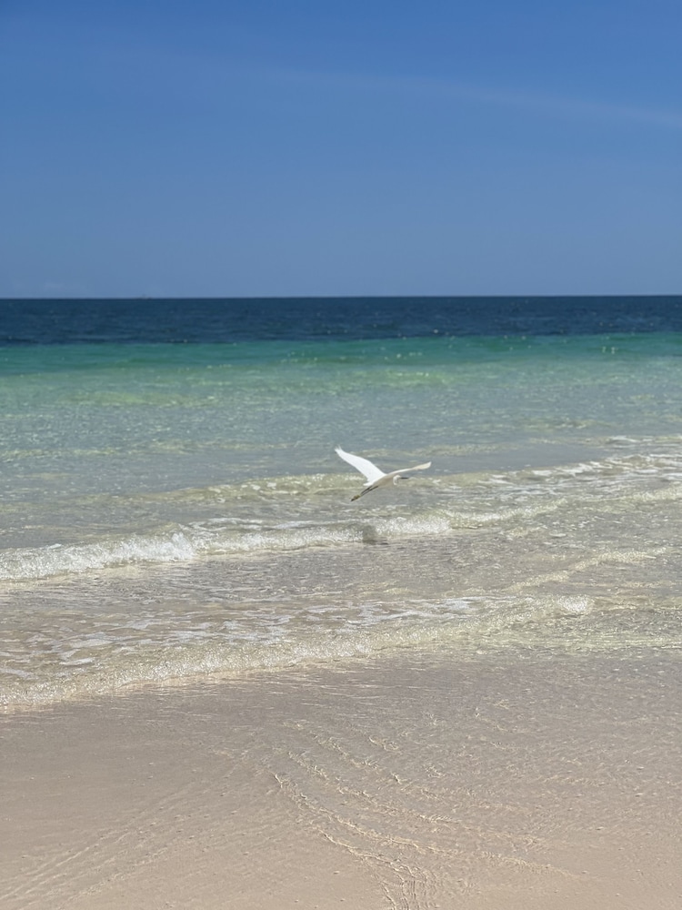 libelula tulum beachfront hotel