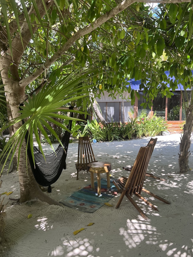 libelula tulum beachfront hotel