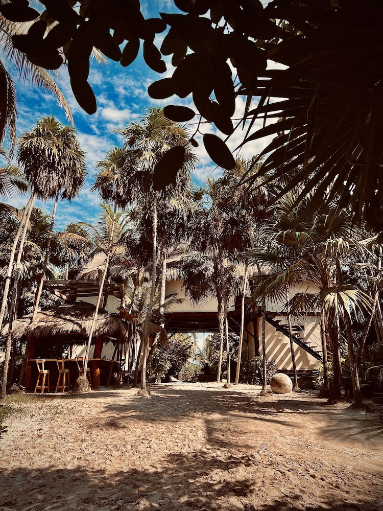 libelula tulum beachfront hotel