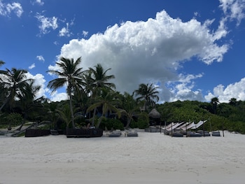 libelula tulum beachfront hotel