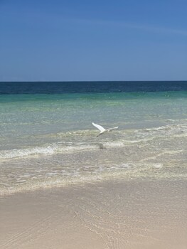 libelula tulum beachfront hotel