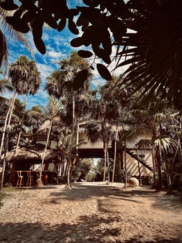libelula tulum beachfront hotel