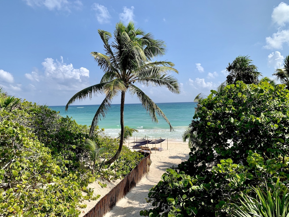 libelula tulum beachfront hotel