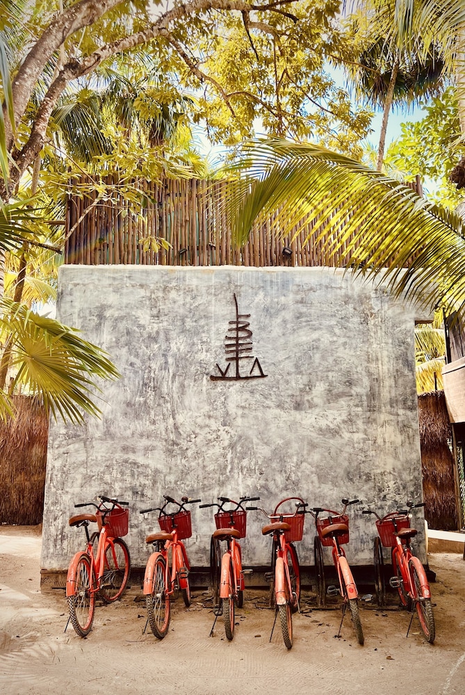 libelula tulum beachfront hotel