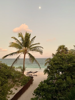 libelula tulum beachfront hotel