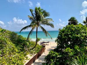 libelula tulum beachfront hotel