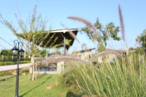 p loft farm