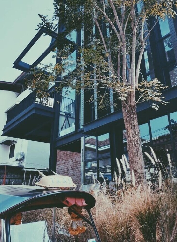 the local ari hostel