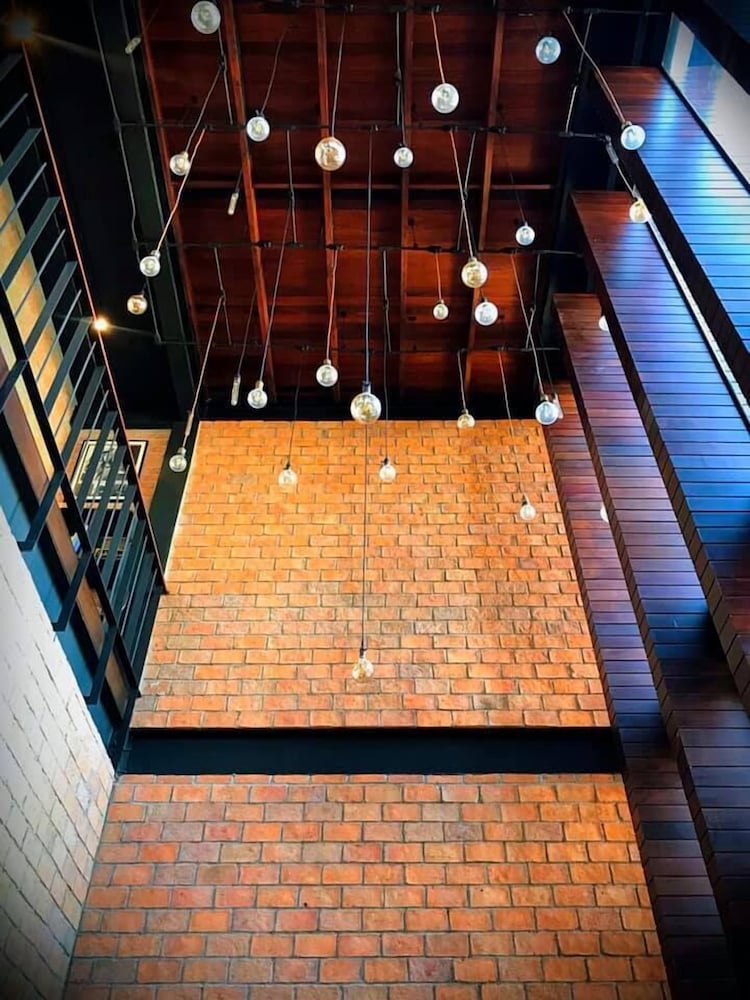 the local ari hostel