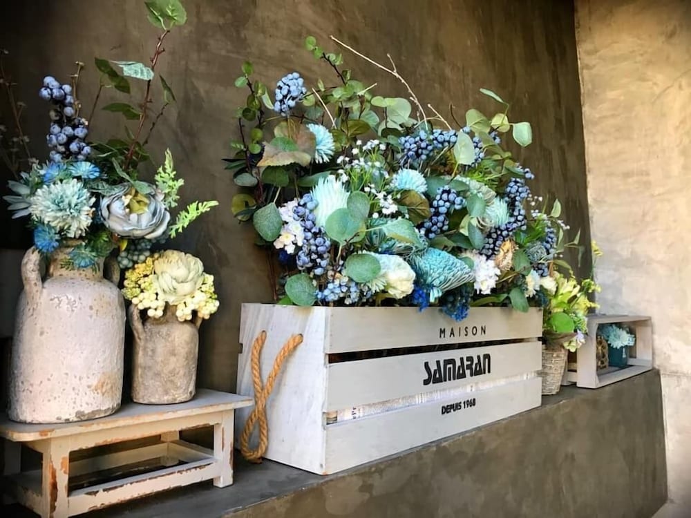 the local ari hostel