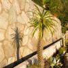 semiramis hotel de charme