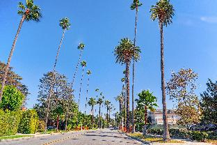 the prospect hollywood