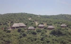 kikonko lodge
