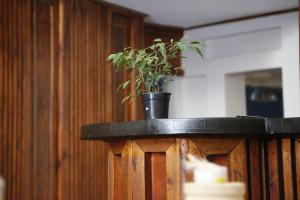 travetel or tambo airport hotel