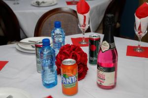 travetel or tambo airport hotel