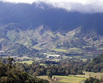 hampton by hilton david