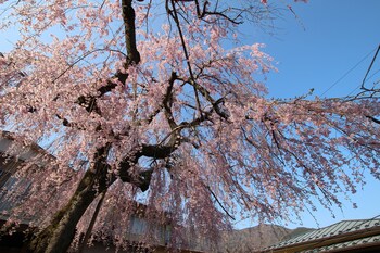 hakone