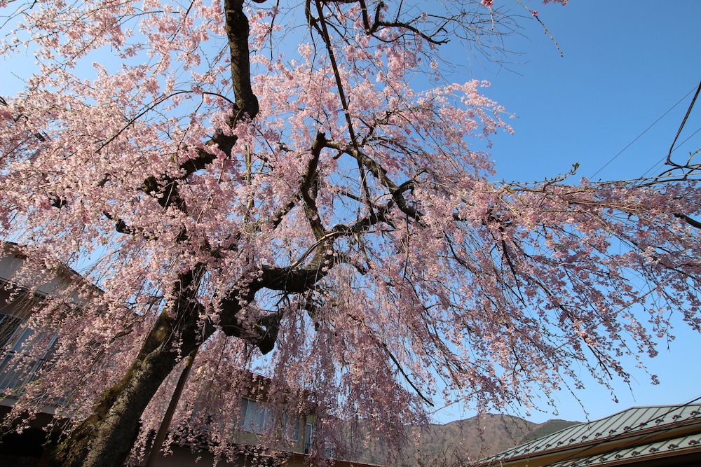 hakone