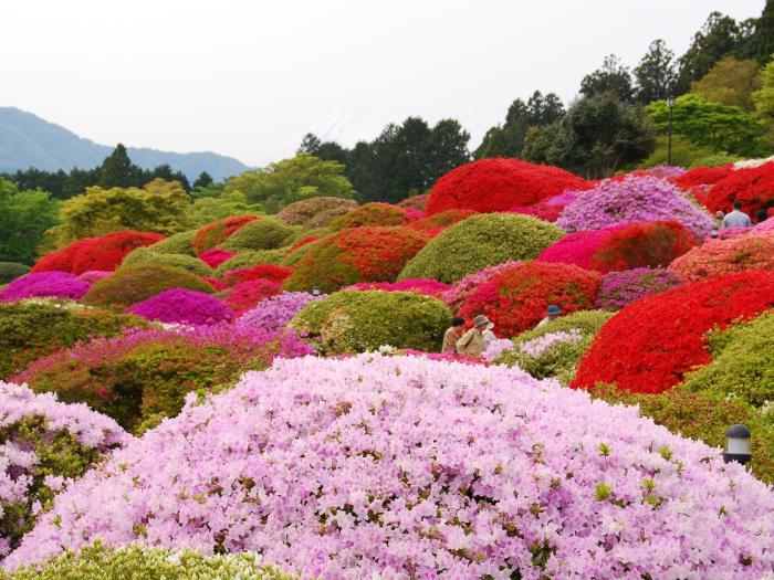 taisho modern villa zen