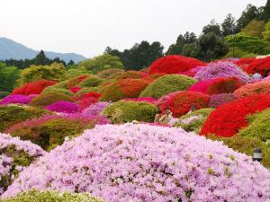 taisho modern villa zen