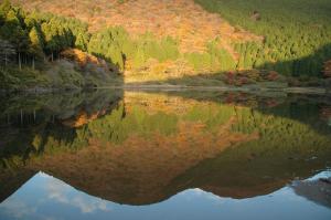 taisho modern villa zen