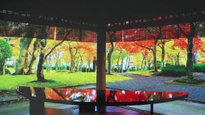 taisho modern villa zen