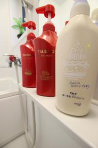 taisho modern villa zen