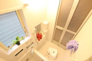 taisho modern villa zen