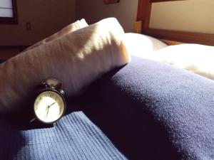 taisho modern villa zen