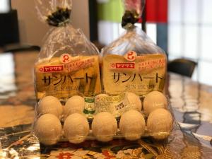 taisho modern villa zen