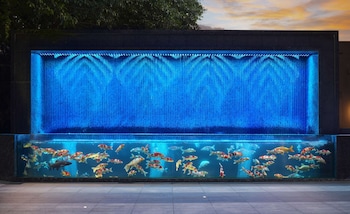 doubletree by hilton shenzhen nanshan hotel and residences