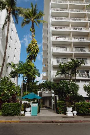 oasis hotel waikiki