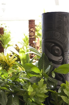 oasis hotel waikiki